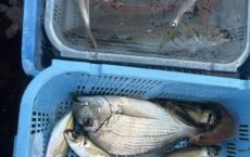 11月５日本日は小物釣り