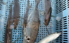 2月6日只今乗船中