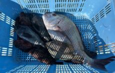 2月19日本日の夕食に