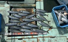 3月6日本日の釣果