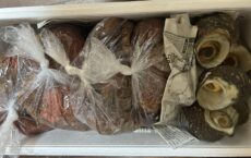 ３月24日発送しました