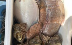 ３月28日今日も本業