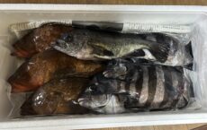 4月9日配達しました